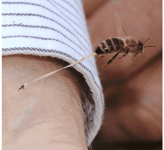 1607917171217461.png 圖片.png