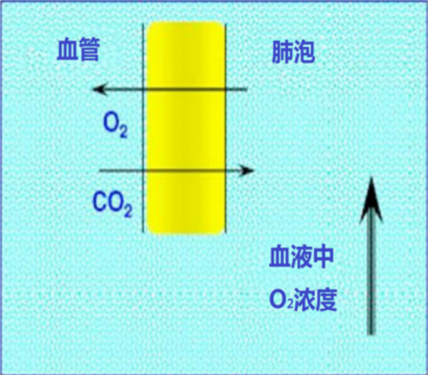 1611799988573067.png 圖片.png